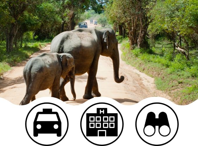 Jim Corbett Luxury Tour Package From Delhi 1