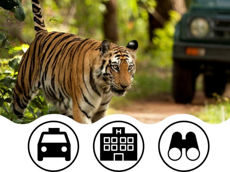 Corbett Holiday Tour Package