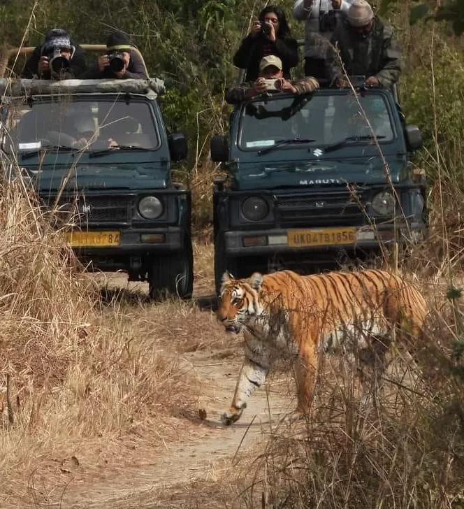 Nainital and Jim Corbett Holiday Package
