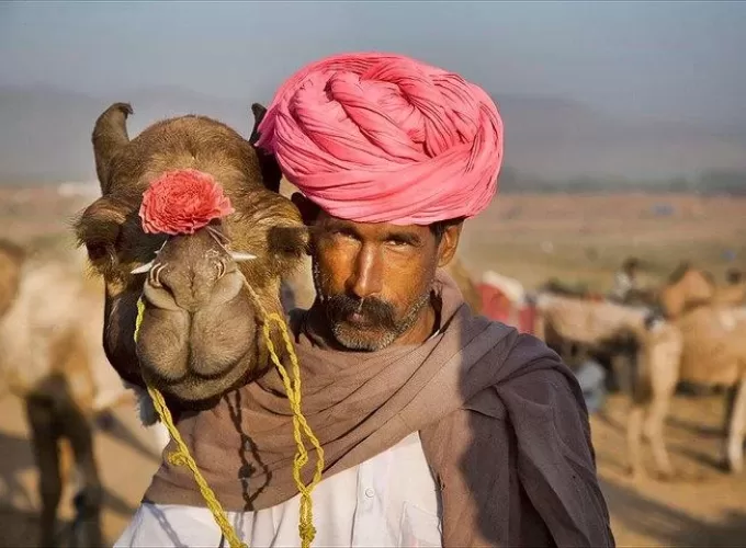 pushkar camel tour