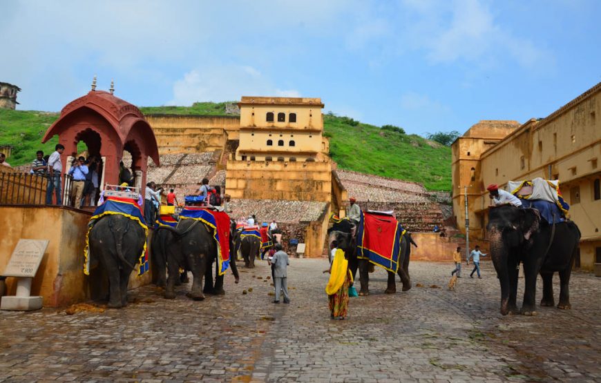 Jaipur Jodhpur Tour Package From Delhi