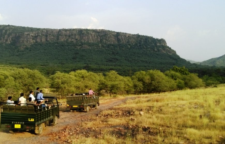 Weekend Tour of Ranthambore