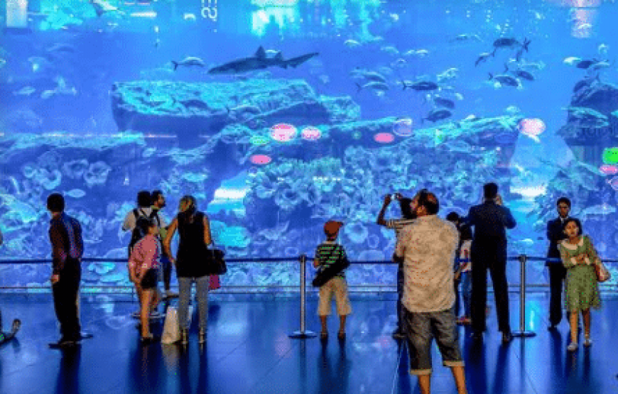 Dubai Aquarium & Underwater Zoo And Burj Khalifa Combo Tickets
