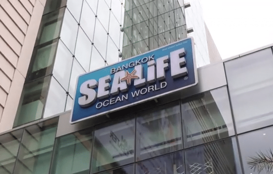 Sea Life Bangkok Ocean world Activities