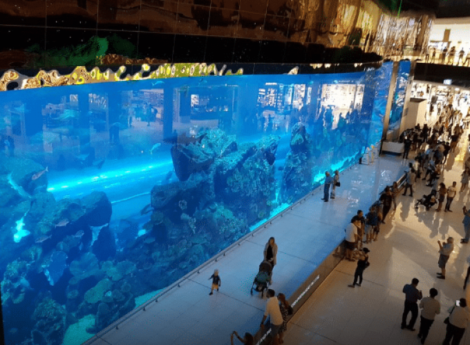Dubai Aquarium Underwater Zoo And Burj Khalifa Combo Tickets