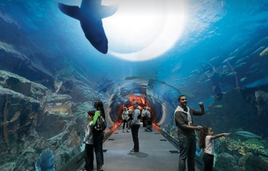 Dubai Aquarium & Underwater Zoo And Burj Khalifa Combo Tickets